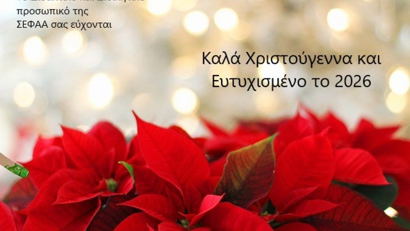 Ευχές Χριστουγέννων